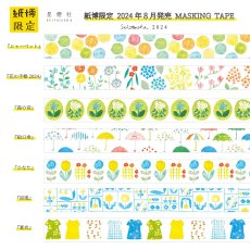 画像2: 【2025年6月1日より販売】紙博限定 マスキングテープ『シャーベット』 (2)